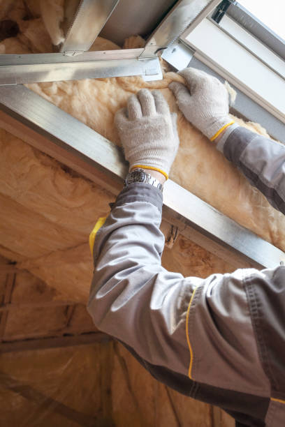 Insulation Inspection Services in Elgin, SC