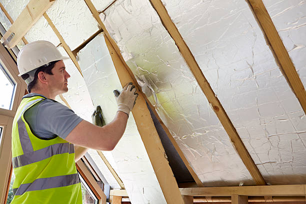 Best Insulation Inspection Services  in Elgin, SC